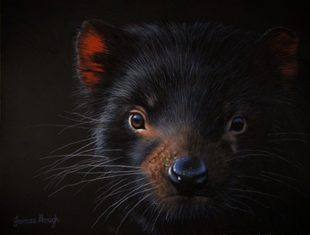 portrait painting of Tasmanian Devil by James Hough