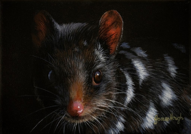 Eastern Quoll painting by James Hough