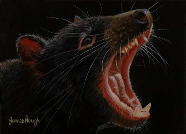 Tasmanian Devil painting by James Hough