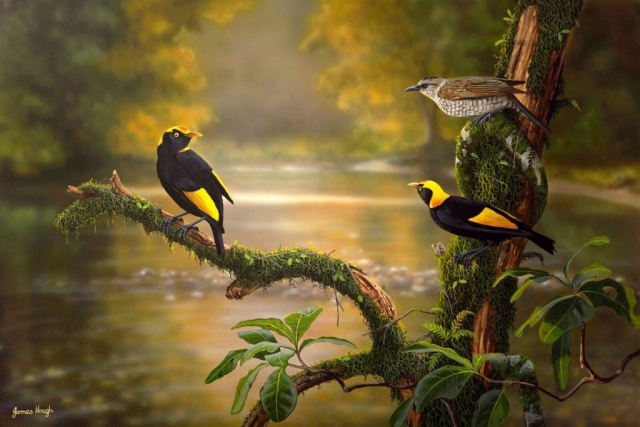 All that Glitters Regent Bowerbird painting by James Hough