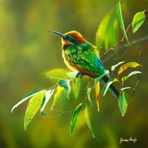 Bee Eater painting by James Hough