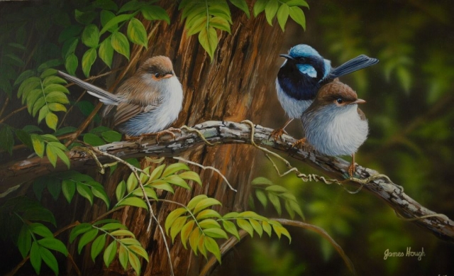 Family Ties Fairy Wren painting by James Hough