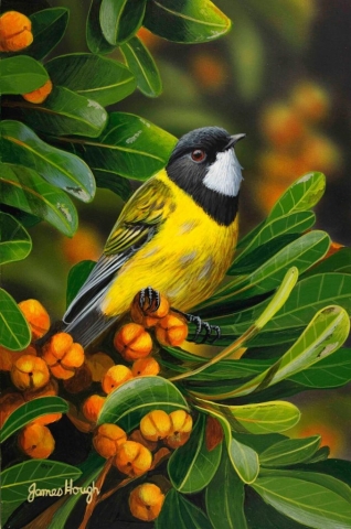 Golden Day bird painting by James Hough