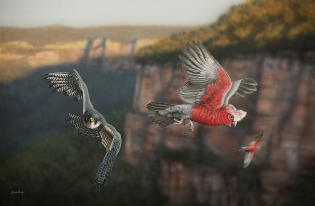 Hot on the Tail Hawk and Galah painting by James Hough