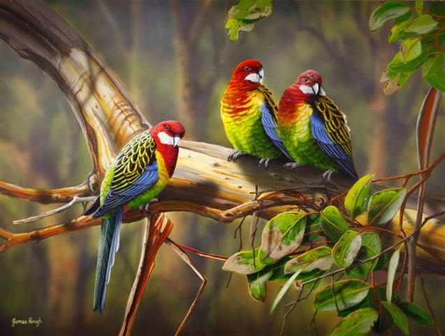 Match Making Rosella painting by James Hough