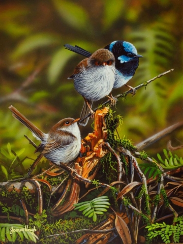 My Flock Fairy Wrens painting by James Hough