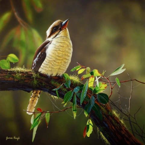 Times Like This Kookaburra painting by James Hough