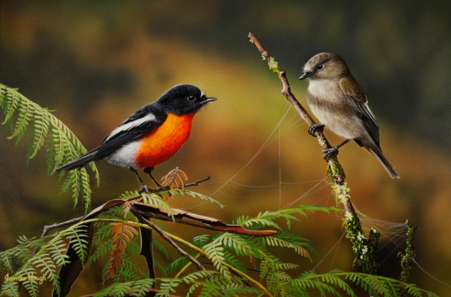 "First Greetings" Flame Robins Painting by James Hough