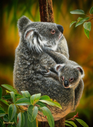 "Koala Cute" - Koala and Cub Painting James Hough