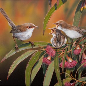 Meals on Wings Superb Wrens 41x31cms