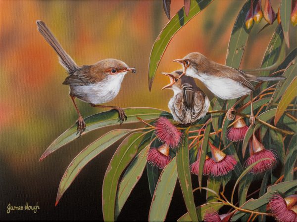 Meals on Wings Superb Wrens 41x31cms