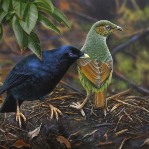 Satin Couple Satin Bowerbird 61x46cms