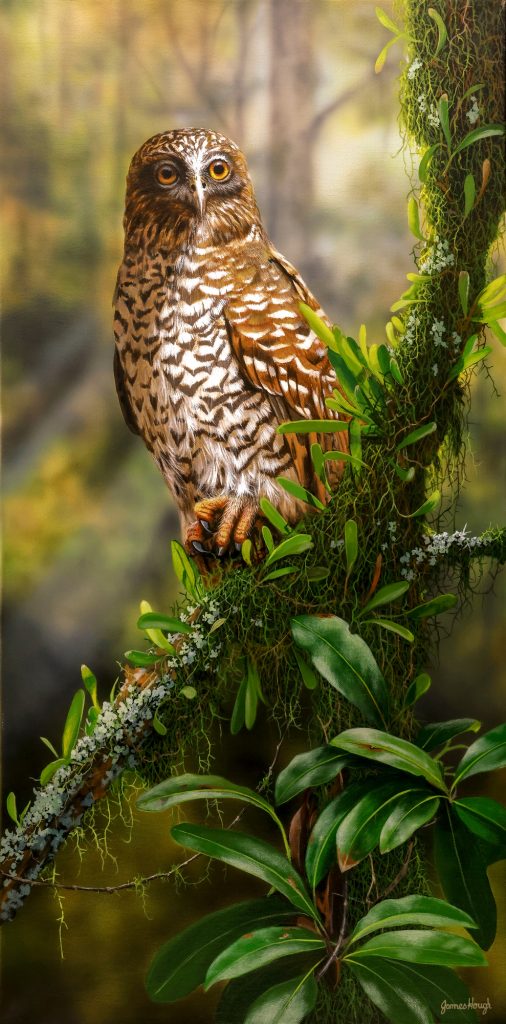 Silent Persuer Powerful Owl 46x91cms