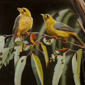 Echoes of Bellbirds Bell Minors 40x30cms