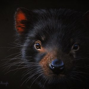 A Devils Portrait Tassie Devil 27x21cms