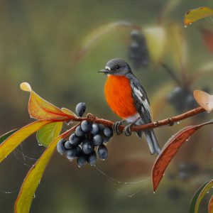 Barrington Natives Flame Robin 39x26cms