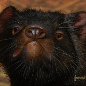 Inquisitive Tasmanian Devil 18x13cms