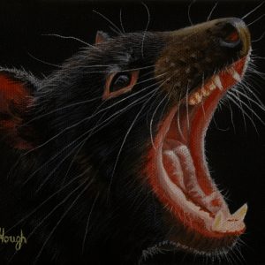 Dental Display Tasmanian Devil 18x13cms