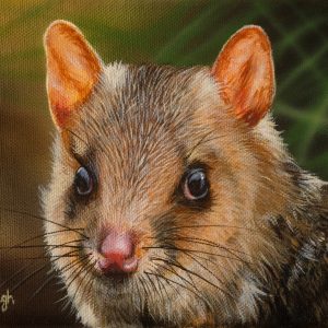 Keen Senses Eastern Quoll Tan 18x13cms