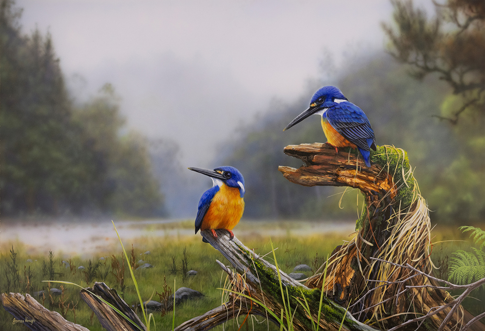 23-Kingfishers-Domain-Azure-Kingfisher-76x52cms1